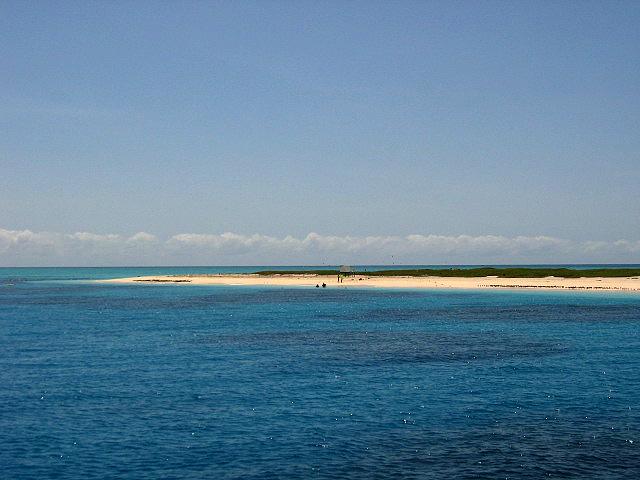 A 358 Cairns - Michaelmas Cay.jpg